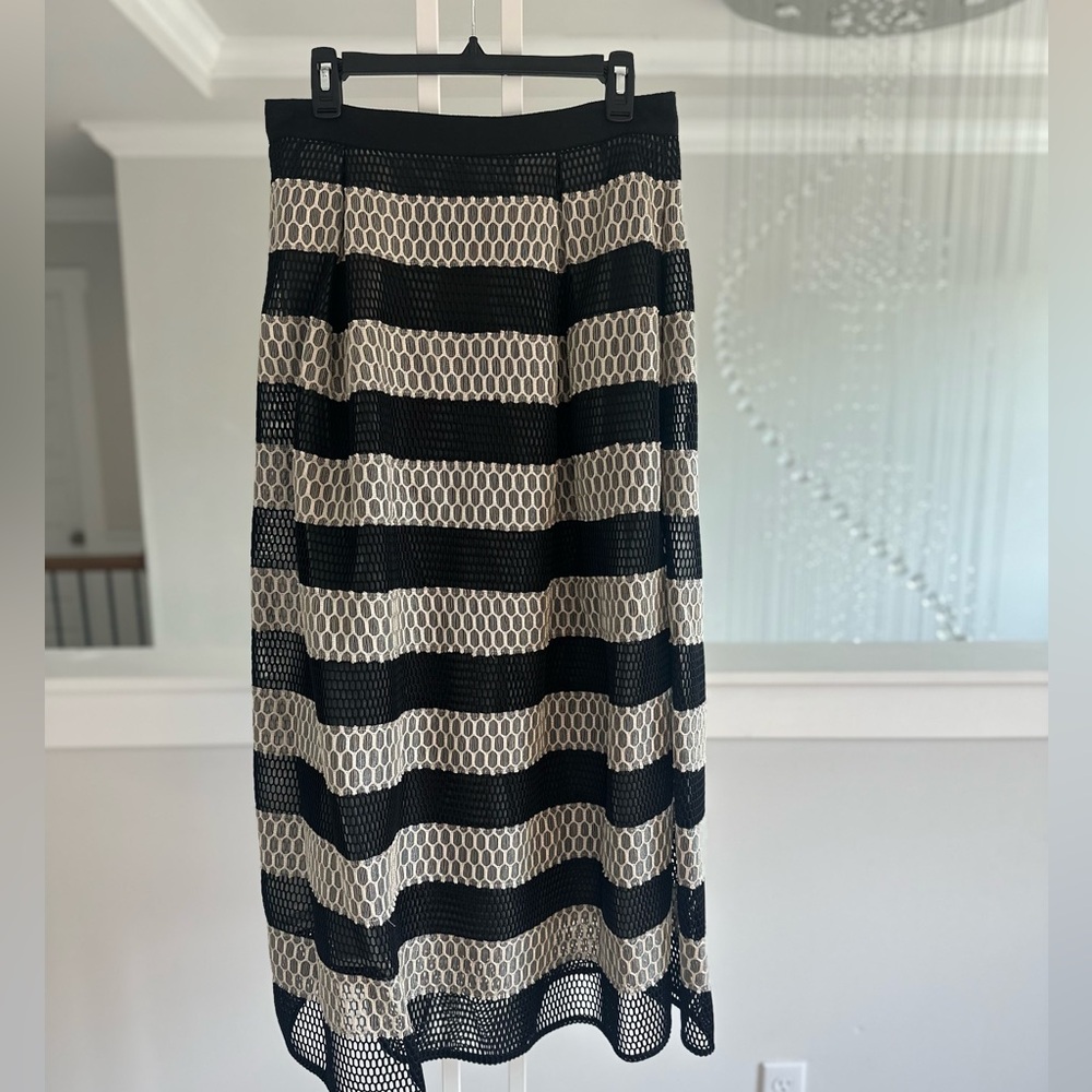 Anthropologie Sachin And Babi Mesh Striped Maxi Skirt - Picture 3 of 6